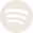 Copy of spotify.png